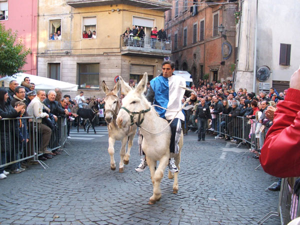 canepina-fantino-palio-degli-asini