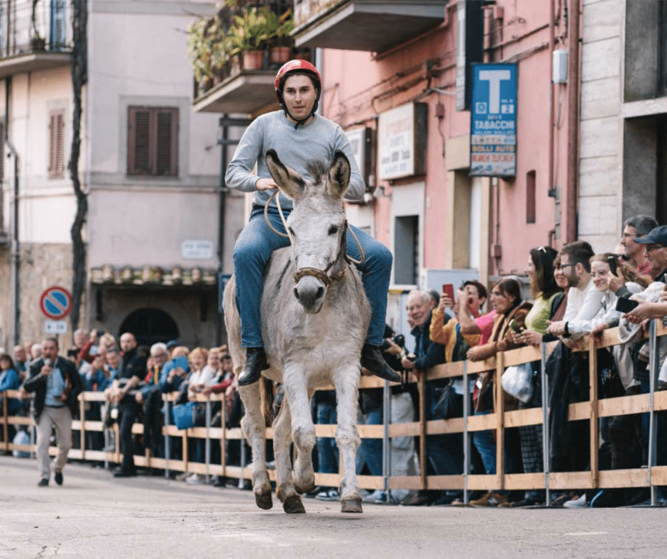 A jockey and his donkey during the donkey race during the Canepina Chestnut Days.